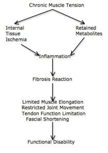 Physiology of Body Pain