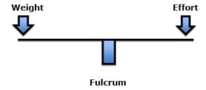 Weight, Load, Fulcrum