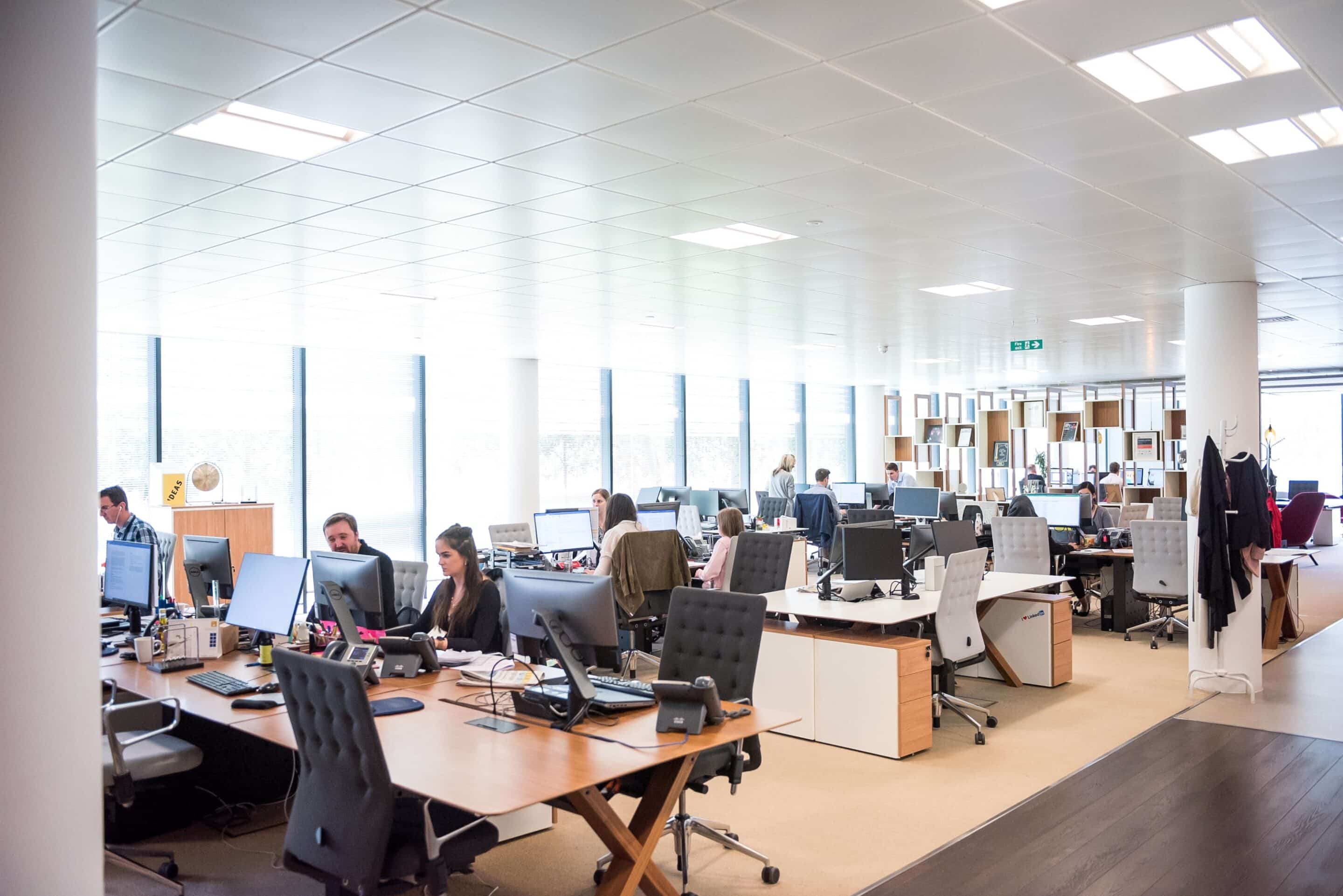 An office full of computer workers using ergonomics.