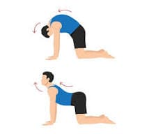 shows back neck exercise